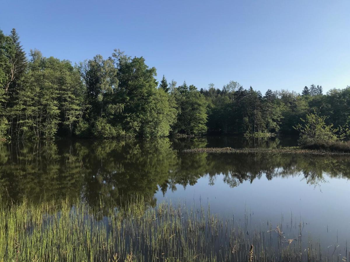 Gite Des Prary Des Mille Etangs Ternuay-Melay-et-Saint-Hilaire Екстер'єр фото