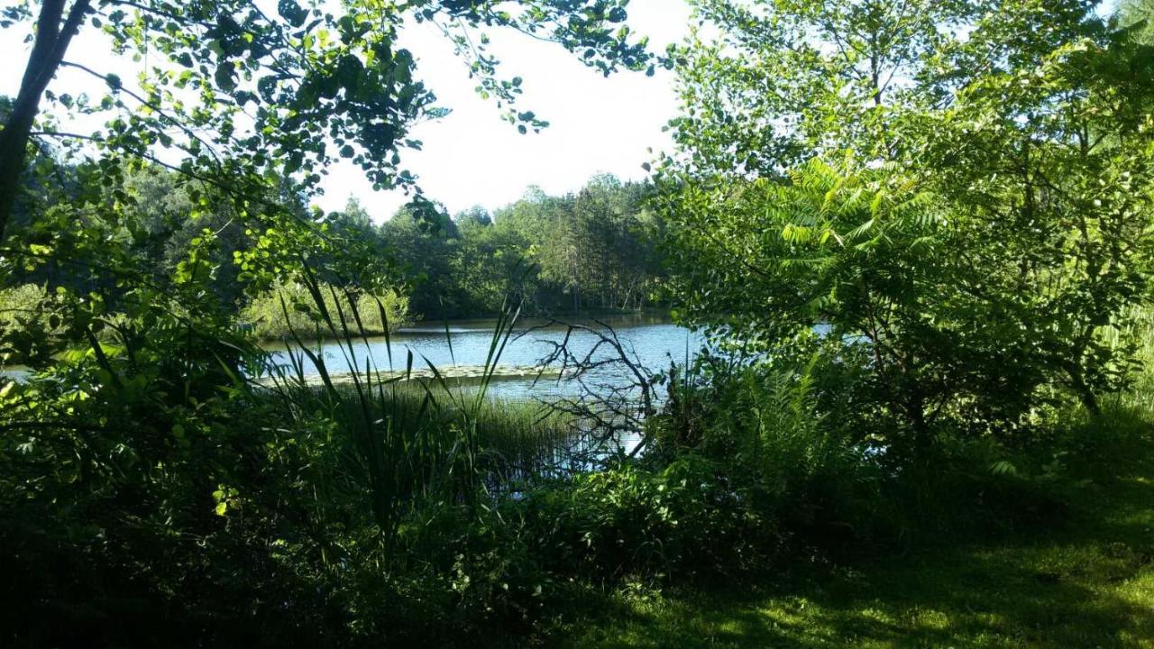 Gite Des Prary Des Mille Etangs Ternuay-Melay-et-Saint-Hilaire Екстер'єр фото